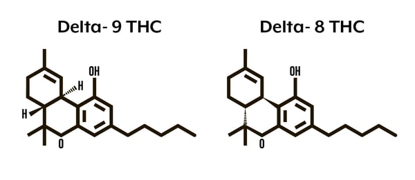 delta-8 vs delta-9 thc